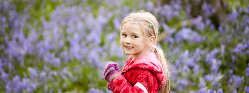 Bluebells