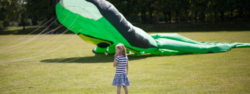 Big Green Octopus Kite